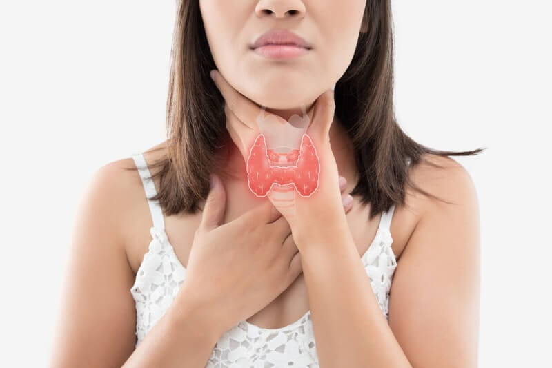 How Thyroid Function Affects Your Menstrual Cycle
